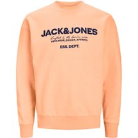 Jack & Jones Herren Sweatshirt JJGALE - Relaxed Fit EAN:5715510027892